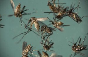 “पुण्यात डॉक्टर आणि त्यांची किशोरवयीन मुलगी झिका विषाणूची बाधा झाल्याचे आढळले”