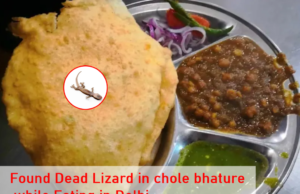 Delhi : स्त्रीला छोले भटुरे मध्ये मृत सरडा सापडला, इंटरनेट म्हणते ‘भारतीय स्ट्रीट फूडवर बंदी आणा.
