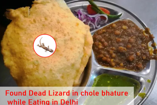Delhi : स्त्रीला छोले भटुरे मध्ये मृत सरडा सापडला, इंटरनेट म्हणते ‘भारतीय स्ट्रीट फूडवर बंदी आणा.