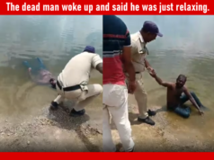 तलावात तरंगणारे ‘मृतदेह’ बाहेर पडले फक्त एक माणूस ‘झोप घेत’ असल्याचे – व्हिडिओ