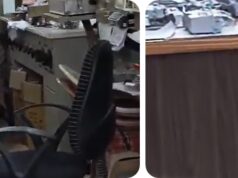 राजगुरुनगर एमएसईडीसीएल कार्यालयात बिबट्याचे दर्शन, गोंधळ उडाला