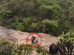 लोणावळा धबधबा दुर्घटना: भूशी धरणात बुडून कुटुंबातील ५ जणांचा मृत्यू, त्यात २ अल्पवयीनांचा समावेश