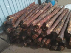 डीआरआय, पुणेने ७.९ कोटी रुपयांचे लाल चंदन जप्त केले; जवाहरलाल नेहरू पोर्टवर (जेएनपीटी) ५ जणांना अटक