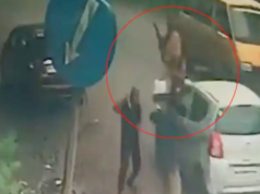 महाराष्ट्रातील आणखी एक अपघात: नाशिकमध्ये महिलेला कारने धडक दिल्याने मृत्यू; घटना सीसीटीव्ही कॅमेऱ्यात कैद