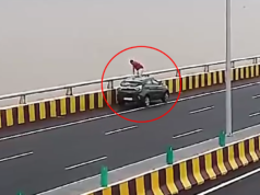 नवी मुंबई: अटल सेतूवरून उडी मारून 38 वर्षीय अभियंत्याची आत्महत्या, आठवड्यातील तिसरी घटना