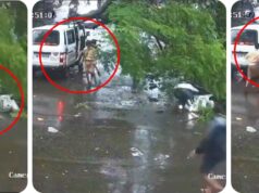 पुण्यात जोरदार पावसामुळे वडगाव शेरी येथे शाळेच्या व्हॅन आणि मोटरसायकलस्वारावर झाड कोसळले, सुदैवाने कोणीही जखमी नाही, फक्त शाळेची व्हॅन नुकसानी झाली