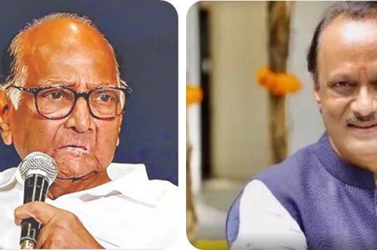 “पुण्यातील एका बैठकीत अजित शरद पवारांवर रागावले आणि म्हणाले की तुम्हाला प्रश्न विचारण्याचा अधिकार नाही.”