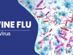 पुण्यात स्वाईन फ्लूची पुन्हा उद्रेक: वाढत्या प्रकरणांमुळे १८ मृत्यूंची नोंद