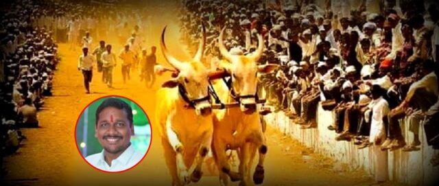 बारामती: 37 लाखांच्या बैल व्यवहारातून गोळीबार; रणजीत निंबाळकर यांचा मृत्यू, काकडे कुटुंबातील दोघांना अटक”