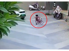 गुजरातमध्ये दुर्दैवी घटना: चार वर्षांच्या मुलीचा सायकलवरून पडून कारखाली आल्याने मृत्यू.