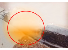 पुण्यात खुनाचा भयंकर प्रकार; महिलेचे धड नदीपात्रात आढळले, डोके, हात, पाय कापलेले.