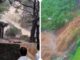 कार्ला एकविरा देवीच्या गडावर पावसाचा कहर: पायऱ्यांवरून पाण्याचा प्रवाह, अनेक भाविक अडकले