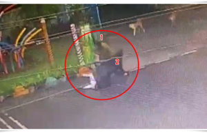 मित्राच्या खुनाचा बदला घेण्यासाठी मुलीच्या बनावट अकाउंटचा वापर, सिंहगड रोडवर कोयत्याने हल्ला – पुण्यात गुन्हेगारीचा नवीन धक्कादायक प्रकार.