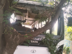 ठाणे-बेलापूर महामार्गावरील भीषण अपघात : बसच्या धडकेत दोन पादचारी ठार, तीन जण जखमी.