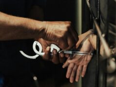 ठाण्यातील हादरवणारी घटना: तीन वर्षीय पुतणीची हत्या, नातेवाईकांकडून मृतदेह अर्धवट जळालेल्या स्थितीत उलगसनगरमध्ये फेकला; आरोपीला अटक.