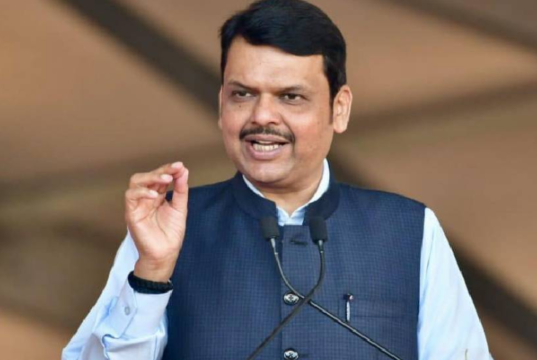 शरद पवार यांचे फडणवीस यांना परखड उत्तर: ‘लोकशाहीचे रक्षण करणे म्हणजे चुकीचे कसे?’