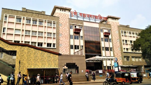 पुणे जिल्ह्यात दरडीरोधक कामांसाठी ₹२०० कोटींचा निधी मंजूर; मुळा नदीजवळ दुर्मीळ ऊद प्राणी दिसल्याची नोंद!