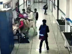 अहमदाबादमधील खासगी शाळेत हृदयविकाराचा झटका; ८ वर्षीय विद्यार्थिनीचा मृत्यू, शाळेच्या पायऱ्या चढताना छातीत वेदना जाणवली