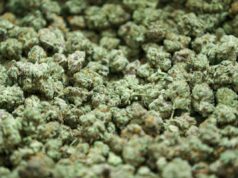 पुण्यात मोठी कारवाई: कात्रज परिसरातून ४३ लाखांचा चरस आणि गांजाचा साठा जप्त; अरुण अरोरा अटकेत.