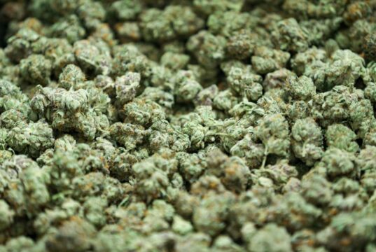 पुण्यात मोठी कारवाई: कात्रज परिसरातून ४३ लाखांचा चरस आणि गांजाचा साठा जप्त; अरुण अरोरा अटकेत.