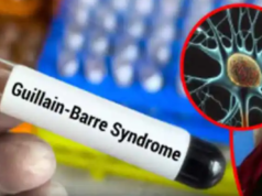 महाराष्ट्रात गिलियन-बारे सिंड्रोमचा धोका वाढला! पुण्यात आणखी ५ रुग्ण आढळले, मृतांचा आकडा ५ वर