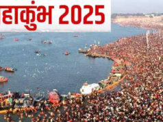 महाकुंभहून परतणाऱ्या भाविकांच्या ट्रॅव्हलरला भीषण अपघात – ७ जणांचा जागीच मृत्यू, अनेक जखमी!