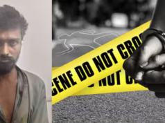 वरळी सीफेसवर संतापजनक प्रकार : पुणे-मुंबई महामार्गावर ब्रेक फेल झाल्याने भीषण अपघातात दोघांचा मृत्यू